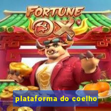 plataforma do coelho